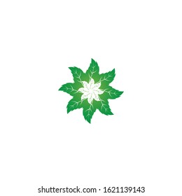 Vector illustration of mint leaves green with white background