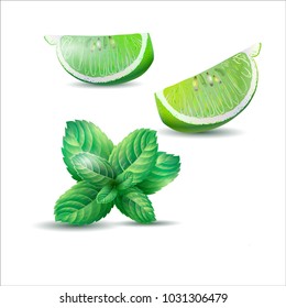 Vector illustration of mint  and lime on the white background.  Design for juice, tea,  cosmetics, menu, healthcare products. 
