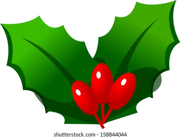 Vector illustration of a mistletoe