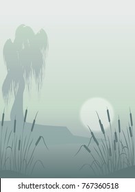 vector illustration of misty  backwater with willow and cattails. nature landscape