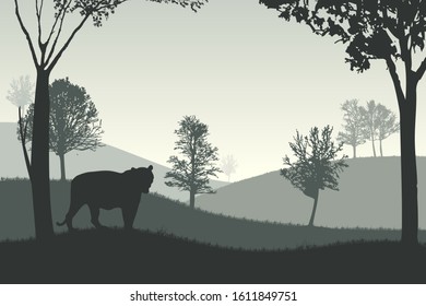 vector illustration of misty forest landscape with tiger silhouette