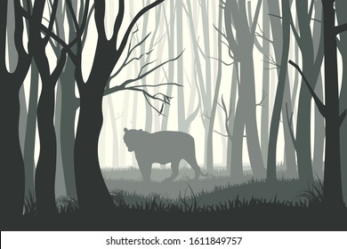 vector illustration of misty forest landscape with tiger silhouette