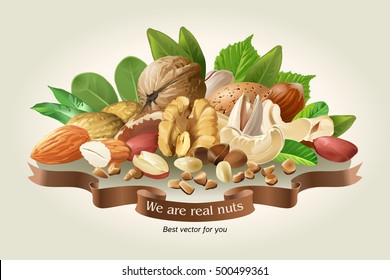 Vector illustration mix of different types nuts