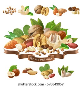 Vector illustration mix of different types nuts