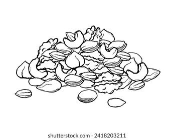 Vector illustration of mixed nuts