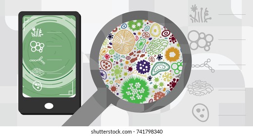 vector illustration of mobile phone device and infection diagnostics program for medical application concept