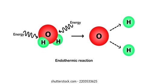 Vector illustration of a model showing the endothermic reaction of water on a white background.