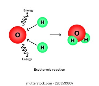 Vector illustration of a model showing the exothermic reaction of water on a white background.