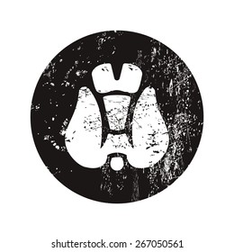 vector illustration of modern b lack icon thyroid