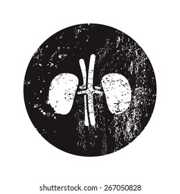 vector illustration of modern b lack icon kidneys
