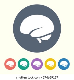 vector illustration of modern b lack icon brain 