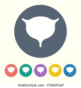 vector illustration of modern b lack icon bladder