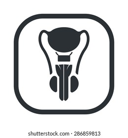 vector illustration of modern b lack icon male organ