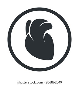 vector illustration of modern b lack icon heart organ