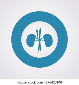 vector illustration of modern b lack icon kidneys