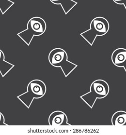 vector illustration of modern black icon detective