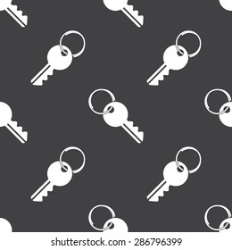 vector illustration of modern black icon key