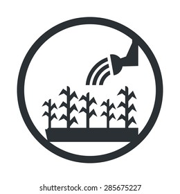 Vector illustration of modern farm icon