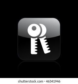 Vector illustration of modern glossy icon depicting a keys