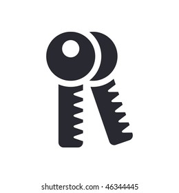 Vector illustration of modern glossy icon depicting a keys