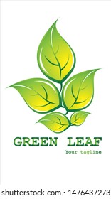 vector illustration of modern green leaf logo, EPS 10