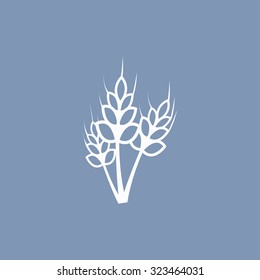 vector illustration of modern icon cereals