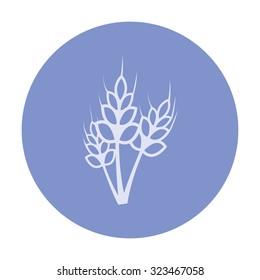 vector illustration of modern icon cereals