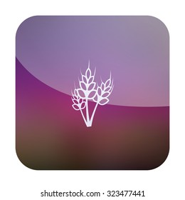 vector illustration of modern icon cereals