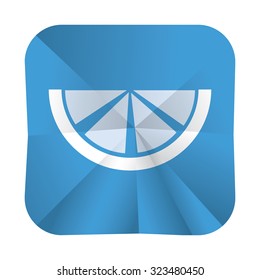 vector illustration of modern icon lemon