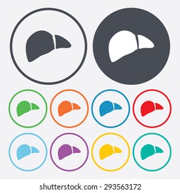 vector illustration of modern icon liver