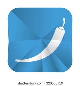 vector illustration of modern icon pepper