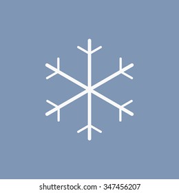 vector illustration of modern icon snowflake