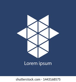 vector illustration modern inverted triangle icon and text