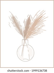 Vector Illustration. Modern vase with pampas grass. Hand drawn trendy illustration. Minimalist aesthetic.
