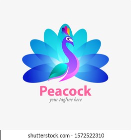 Vector illustration, modification of peacock as a symbol or icon.