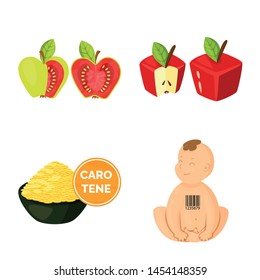 Vector illustration of modified and genetically icon. Set of modified and science vector icon for stock.