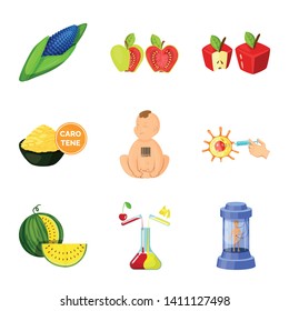 Vector illustration of modified and genetically sign. Set of modified and science stock vector illustration.