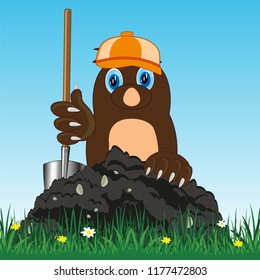 Vector illustration of the mole in cap and with shovel digging land