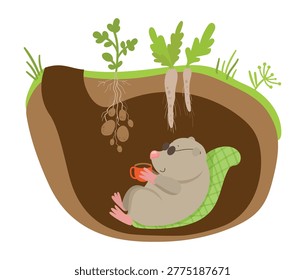 Vector illustration of a mole sleeping in an underground burrow in a simple outdoor scene. The scene captures a cute animal in its home.
