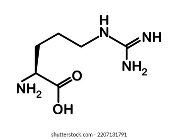 vector illustration of the molecular structure formula L-arginine on a white background.