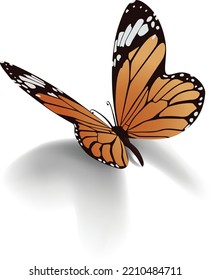 vector illustration of a monarch butterfly