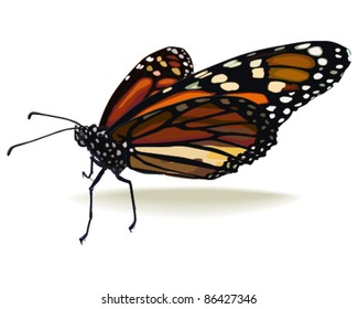 Vector Illustration of a Monarch Butterfly