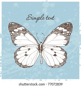 Vector illustration of a monarch butterfly and blot in a writing-book. Vector illustrator. Hand-draw.