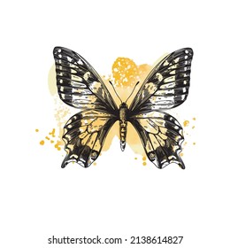 Ilustración vectorial de una mariposa monarca sobre un fondo blanco en estilo de grabado. Silhouette de una mariposa sobre una mancha de acuarela. Ilustración gráfica