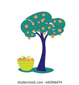a vector illustration of a money tree with dollar fruits as coins and a full basket; a metaphor of successful business; an income concept; in cartoon style