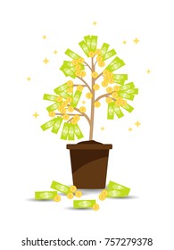 Vector illustration of Money tree in flower pot vector icon on white background. Money growing on tree. Money growth, making money, investment, profit, financial management concept.