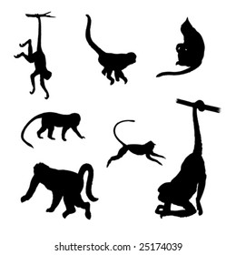 vector illustration of monkey