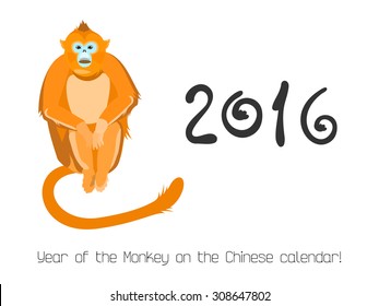 Vector illustration of a monkey called Rhinopithecus roxellana, also known as the golden snub-nosed monkey. 2016 - year of the monkey in the Chinese calendar.