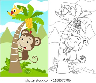 vector illustration with monkey cartoon climb a banana tree, bird perching on banana leaf, coloring book or page.