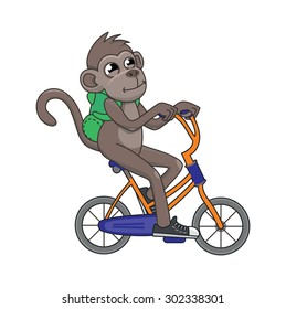 vector illustration monkey on bike